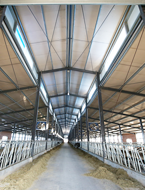 20191208063825_72319