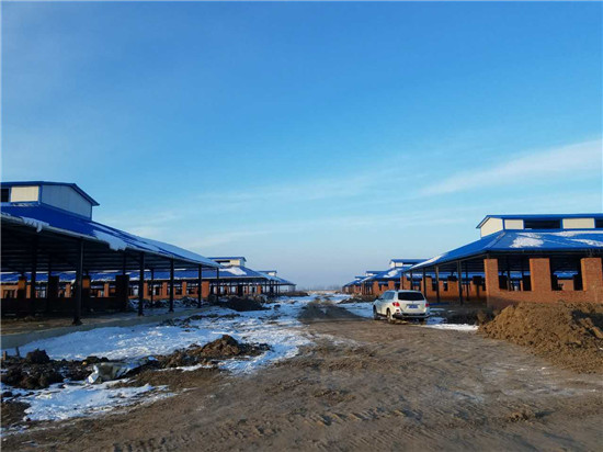 ng电子游戏·(中国区)官方网站