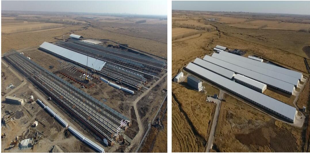 ng电子游戏·(中国区)官方网站