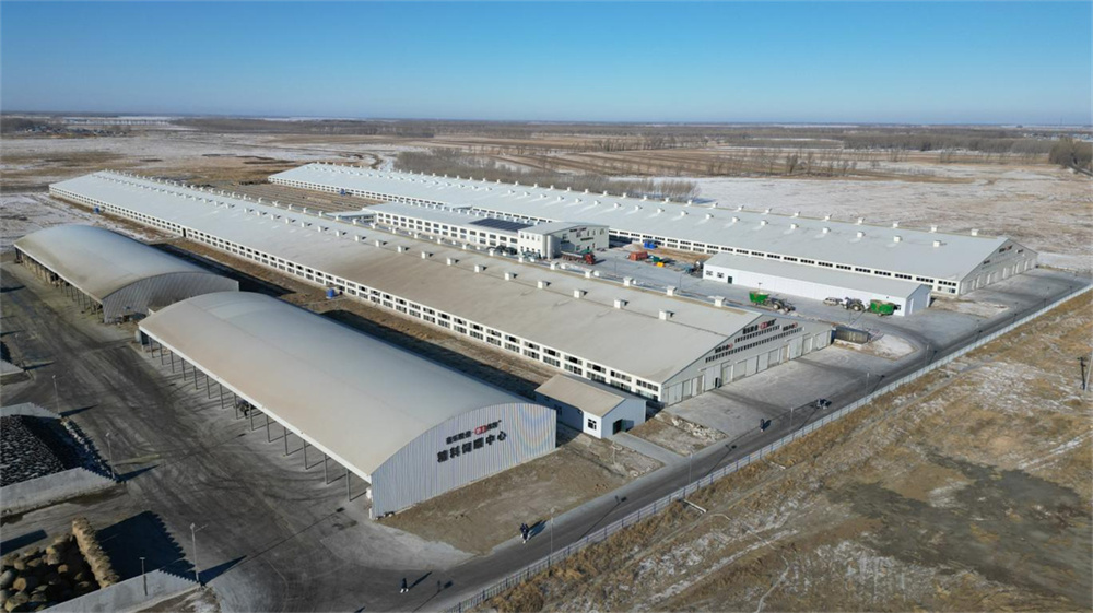 ng电子游戏·(中国区)官方网站